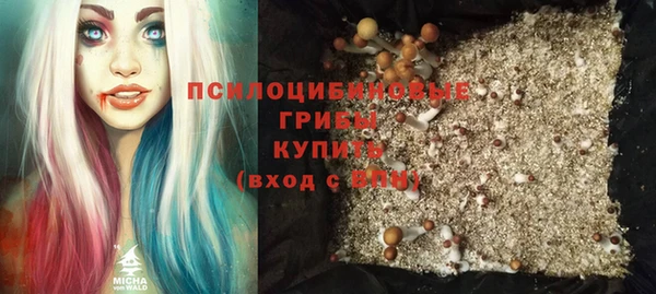 spice Кодинск