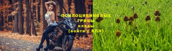 mdpv Баксан