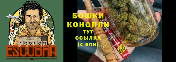 ГАЛЛЮЦИНОГЕННЫЕ ГРИБЫ Козельск